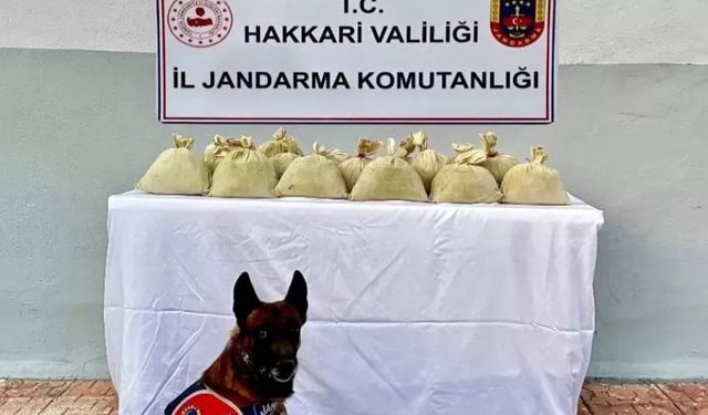 Hakkari’de 15 kilo toz esrar ele geçirildi