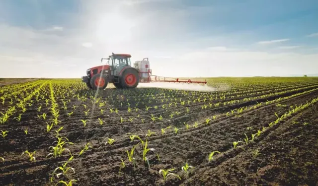 Tarımsal Destek Ödemesi Çiftçilerin Hesaplarında