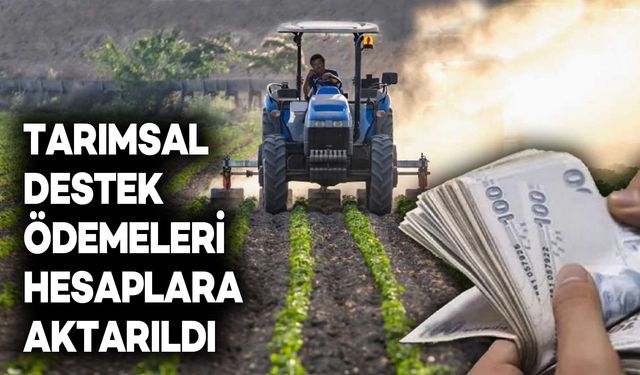 Tarımsal destek ödemeleri bugün çiftçilerin hesaplarında