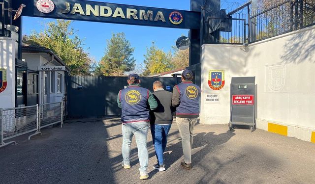 Diyarbakır’da 8 yıldır aranan hırsız jandarma operasyonuyla yakalandı