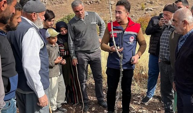 Siirt’te üreticilere fıstıkta doğru budama eğitimi