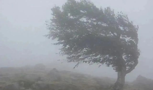 Meteorolojiden 4 İl İçin Sarı Kodlu Uyarı