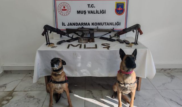 Muş’ta ruhsatsız 3 uzun namlulu silah ele geçirildi