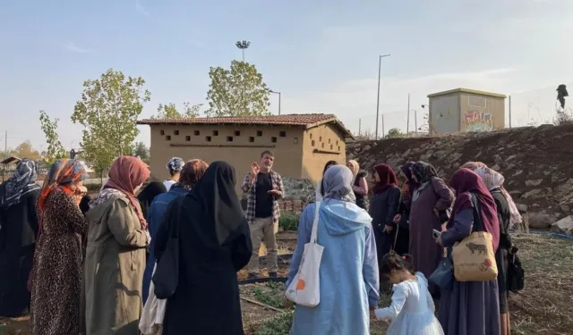 Kadınlar Doğada Tıbbi ve Aromatik Bitkileri Öğreniyor
