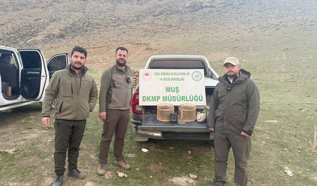 Muş’ta kafes avcılığı yapan kişi suçüstü yakalandı: 20 bin TL ceza