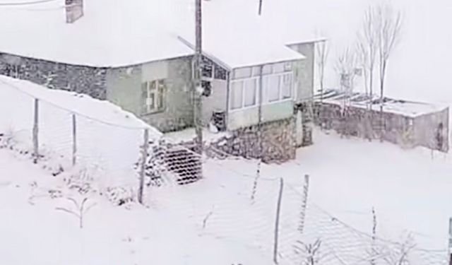 Başkale’de Kar Yağışı Etkili Oldu