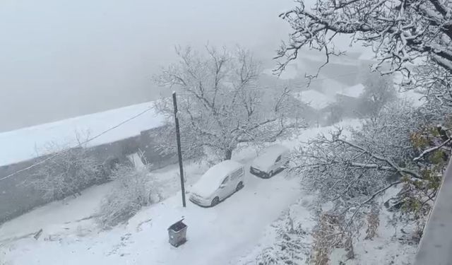 Van'da Kar Yağışı Etkili Oldu: İlçe Beyaza Büründü