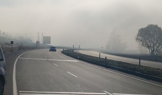 Bingöl’de sis etkili oldu