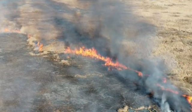 Van'da Çırak Sazlığında Yangın