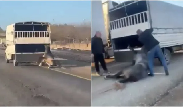 Valilikten Sürüklenen At Görüntülerine Açıklama