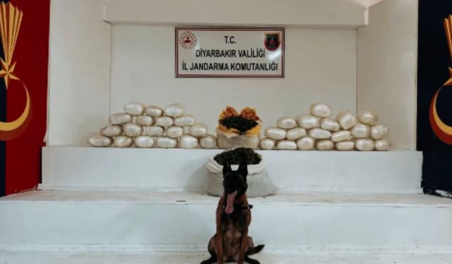 Bakan Yerlikaya: Diyarbakır’da 555 kilogram uyuşturucu ele geçirildi