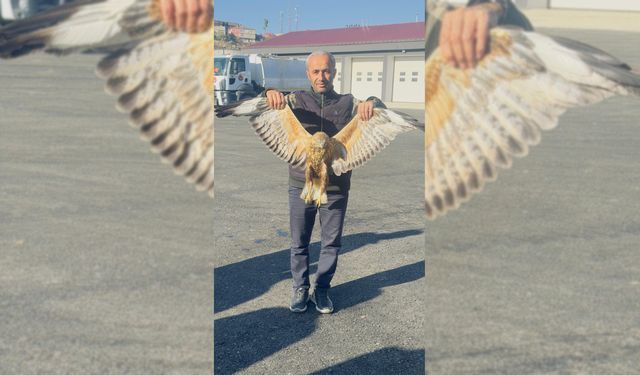 Yaralı Baykuş Karayolları Ekiplerinin Duyarlılığıyla Kurtarıldı