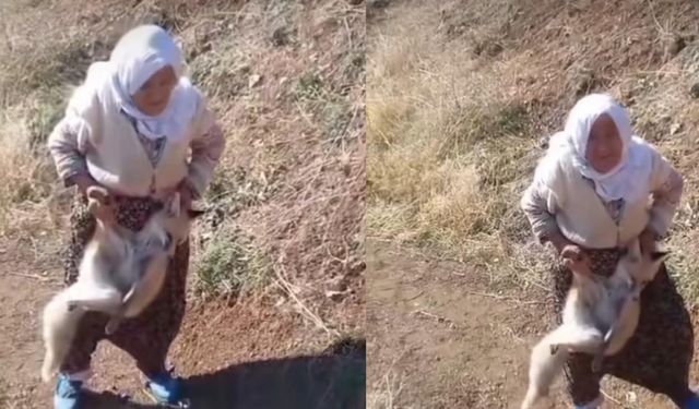 Batman'ın Cesur Ninesi Tayyibe Nine Hayatını Kaybetti