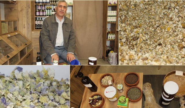 Bağışıklığı Güçlendiren Şifalı Bitkilerle Kışa Hazırlık