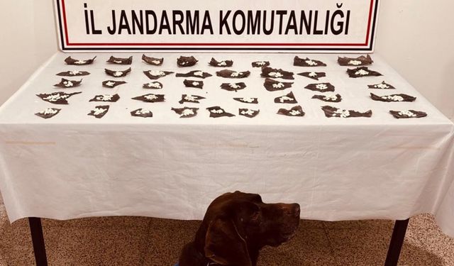 İlaç Kapsüllerinin İçinden İçinden Bonzai Çıktı