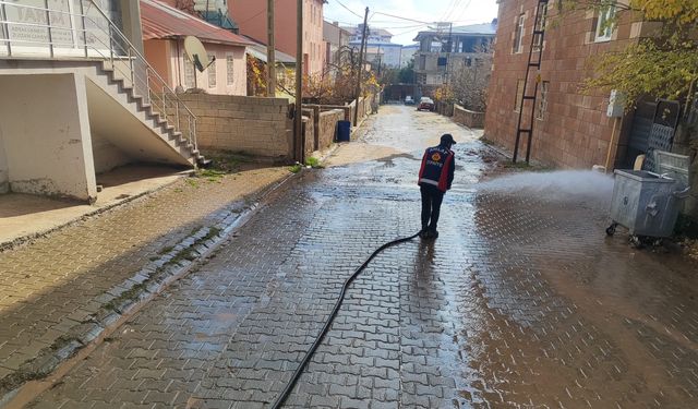 Ahlat’ta Cadde ve Sokaklar Temizlendi