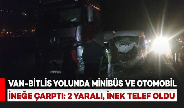 Van-Bitlis Yolunda İneğe Çarpan Minibüs ve Otomobil Kaza Yaptı: 2 Yaralı, İnek Telef Oldu