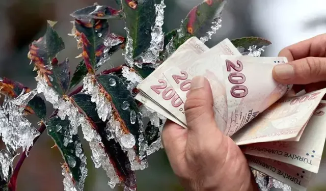 Tarımsal Destek Ödemeleri Bugün Hesaplara Aktarılıyor