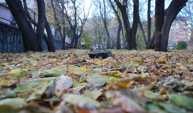 Yurt genelinde bugün yağış beklenmiyor