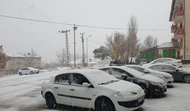 Van'da Kar Yağışı: Beyaza Büründü