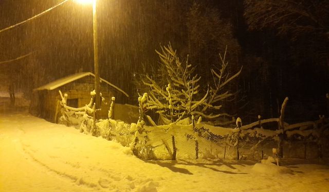 Ahlat’ta Kar Yağışı Etkili Oldu