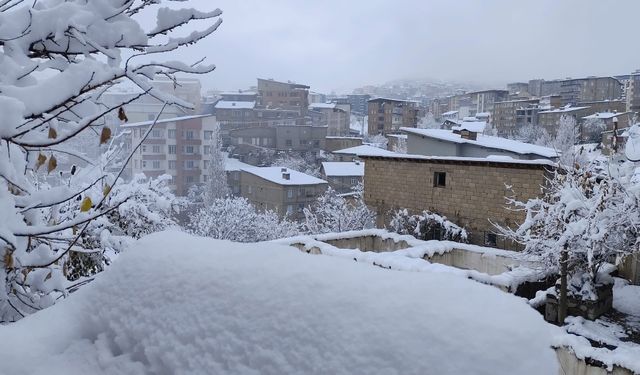 Yoğun Kar Ulaşımı Aksattı: 13 Köy ve 30 Mezra Yolu Kapalı