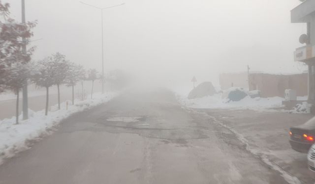 Van'da yoğun sis etkili oldu: görüş mesafesi 5 metreye düştü