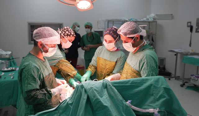 2 kilogramı aşan dev tümör başarıyla çıkarıldı