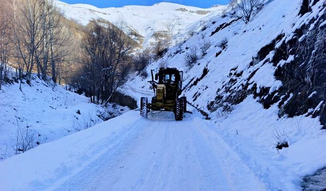 Van-Bahçesaray yolu kar ve tipi nedeniyle kapatıldı