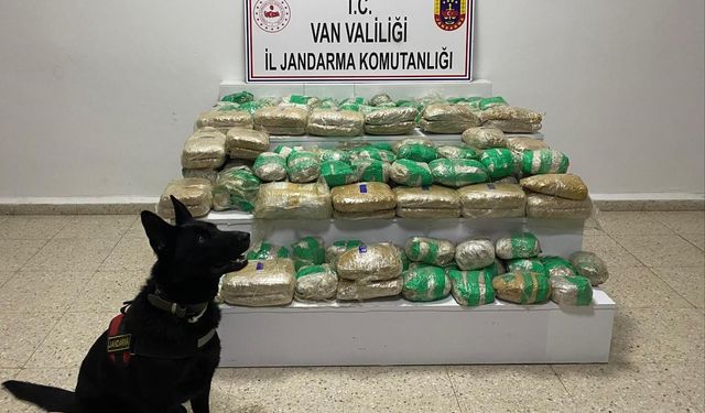 Van'da 51 Kilo Skunk Ele Geçirildi