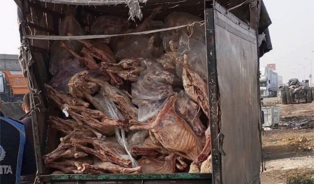 Gaziantep’te 1,9 Ton Bozulmuş Et İmha Edildi