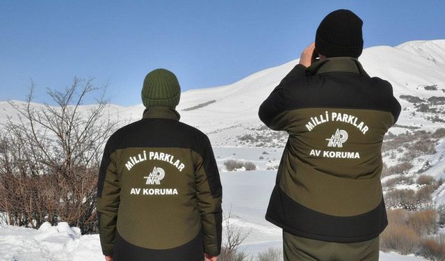 Hakkâri’de yasa dışı avcılığa ağır ceza: 956 bin TL