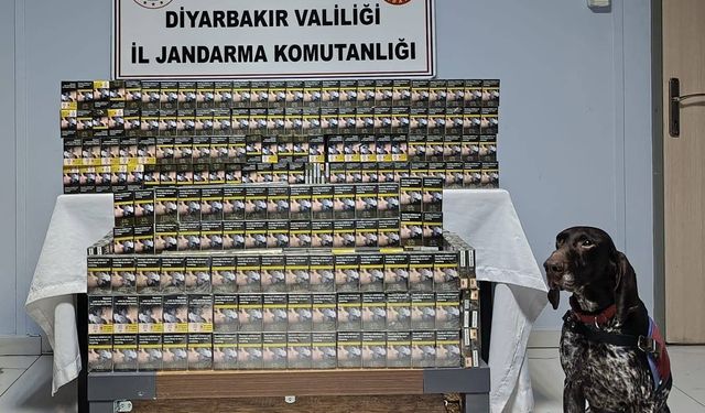 Diyarbakır’da kaçakçılık operasyonları: Çok sayıda kaçak ürün ele geçirildi