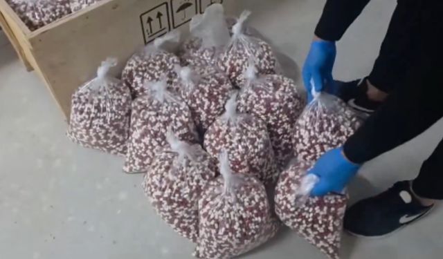 Bitlis’in de aralarında olduğu 72 ilde uyuşturucu operasyonu: 970 gözaltı