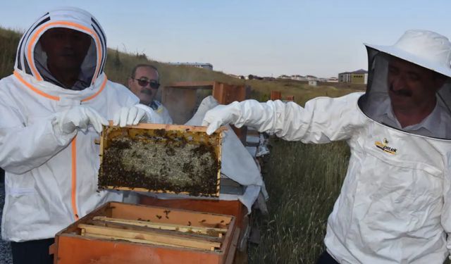 Güroymak’ta Arıcılara Yüzde 75 Hibeli Kovan Desteği Başvuruları Başladı