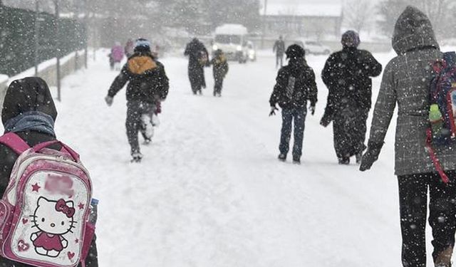 Van'da eğitime kar engeli