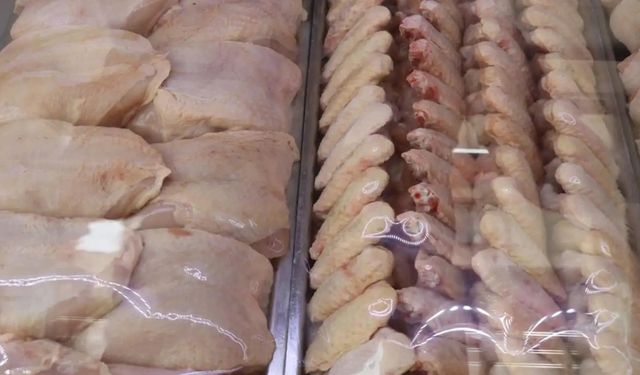 Tavuk Üretimi Ekim Ayında Yüzde 8,7 Arttı