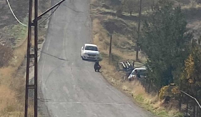 Siirt'te maddi hasarlı kaza
