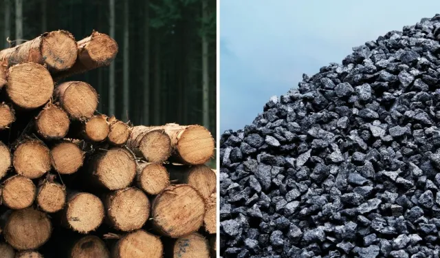 BİTLİS'TE TAŞ KÖMÜRÜ VE KIŞLIK YAKACAK ODUN ALIM İŞİ