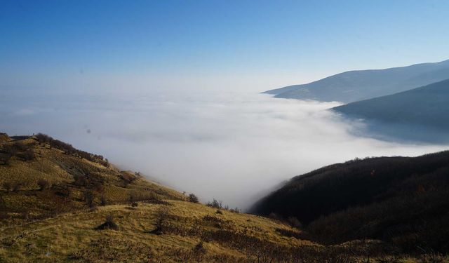Muş Ovası sisle kaplandı: Kartpostallık manzaralar oluştu
