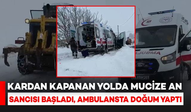Muş'ta Kardan Kapanan Yolda Anne Ambulansta Doğum Yaptı