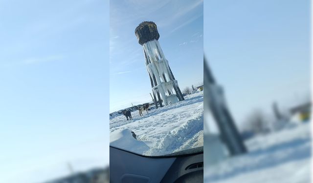Diyarbakır’da buz tutan su kulesi tehlike saçıyor