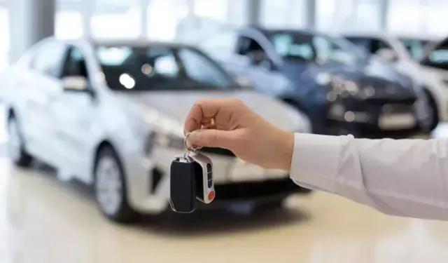 BİTLİS'TE ARAÇ KİRALAMA HİZMETİ ALINACAKTIR