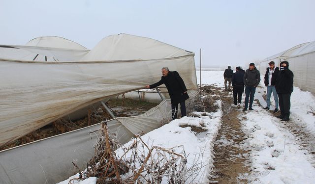 HÜDA PAR İl Başkanı Şahin: Seralarda Büyük Hasar Var, Çiftçi Destek Bekliyor