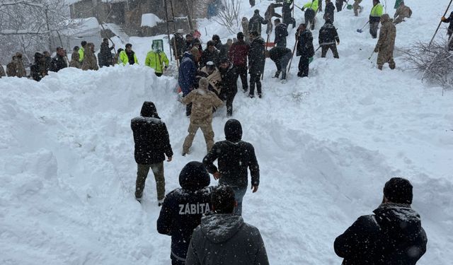 Van'da çığın altında kalan kadın kurtarıldı