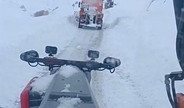 Van Çatak’ta 24 Saatte 6 Ayrı Noktaya Çığ Düştü