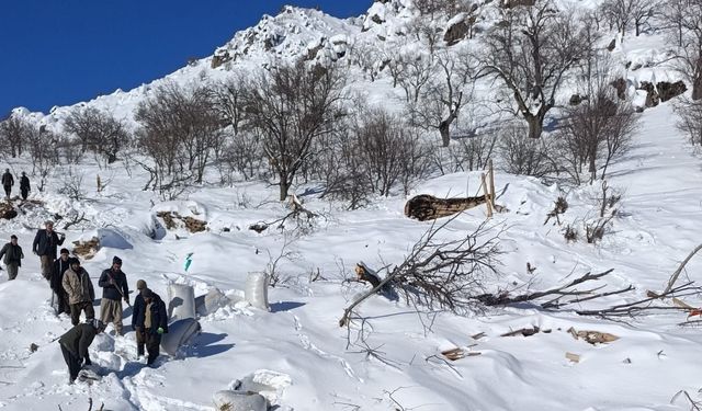 Çığ felaketi: Ahırlar çöktü, çok sayıda hayvan telef oldu