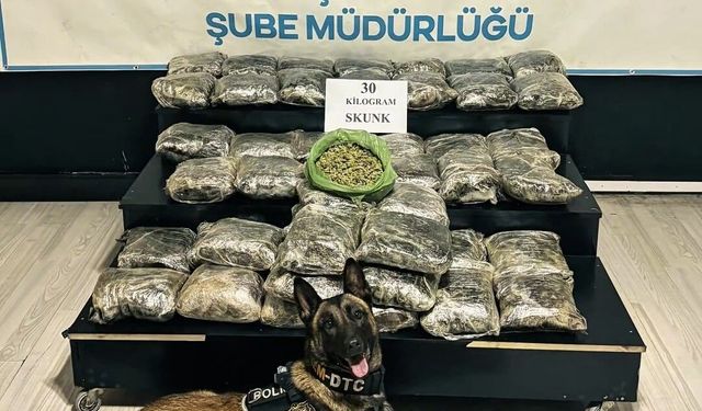 Durdurulan araçta 30 kilo skunk ele geçirildi