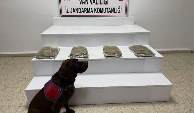 Van Başkale’de 5 Kilo 250 Gram Kubar Esrar Ele Geçirildi