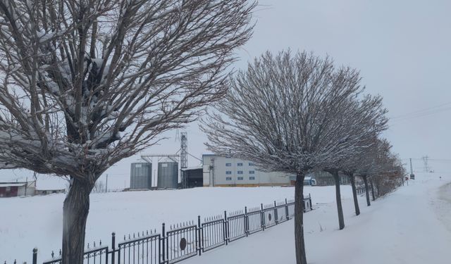 Van’da Sibirya soğukları hayatı olumsuz etkiliyor